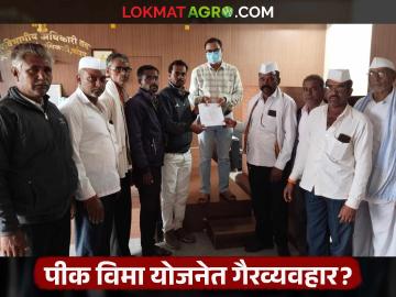 पीक विमा प्रतिनिधींनी ५० टक्के रक्कम खिशात घातली, अन्... शेतकरी असं का म्हणाले?  - Marathi News | latest news Pik vima yojana Corruption in Crop Insurance Scheme, Farmers Claim | Latest News at Lokmat.com