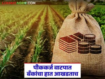 Crop Loan : पीककर्ज वाटपात बँकांचा हात आखडताच; काय आहे कारण वाचा सविस्तर - Marathi News | latest news Crop Loan: Banks are struggling in distributing crop loans; Read the reason in detail | Latest News at Lokmat.com