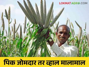 Crop Production Competition: पीक जोमात वाढवा अन् भरघोस बक्षिसं जिंका.. आजच व्हा स्पर्धेत सहभागी - Marathi News | Increase crop production and win huge prizes.. Join this competition today | Latest News at Lokmat.com