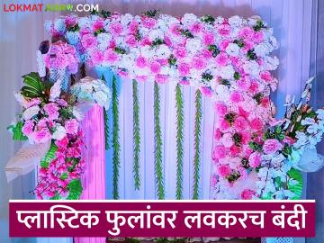 प्लास्टिक फुलांच्या विक्रीवर राज्यात कठोर बंदी; आता कोणाकोणावर केली जाणार कारवाई? - Marathi News | Strict ban on sale of plastic flowers in the state; Who will be taken action against now? | Latest News at Lokmat.com