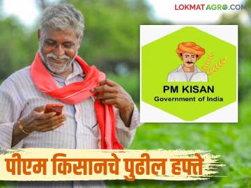 PM Kisan Hafta : पीएम किसानचा 20 आणि 21 वा हफ्ता 'या' महिन्यात येण्याची शक्यता, वाचा सविस्तर  - Marathi News | Latest news PM Kisan Yojana PM Kisan's 20th and 21st weeks are come June or October 2025, read in detail | Latest News at Lokmat.com