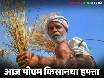 पीएम किसानचा हफ्ता येणार, पण पैसे खात्यावर येण्याची वेळ बदलली, किती वाजता येतील पैसे?  - Marathi News | latest News PM Kisan's scheme 22th installment will come, Money distribution will begin at 5:00 PM | Latest News at Lokmat.com