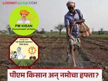 PM Kisan Scheme : नमो शेतकरी आणि पीएम किसानचा हप्ता एकत्र मिळणार का? वाचा सविस्तर  - Marathi News | Latest News pm kisan scheme Will Namo Shetkari and PM Kisan installments be available on 24th feb Read in detail | Latest News at Lokmat.com