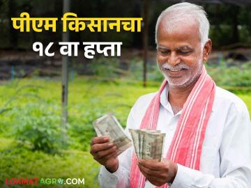 PM Kisan Yojana : पीएम किसानच्या १८व्या हप्त्याची तारीख ठरली कधी मिळणार हप्ता? वाचा सविस्तर - Marathi News | PM Kisan Yojana : Date of 18th installment of PM Kisan has been decided When will the installment be received? Read in detail | Latest News at Lokmat.com