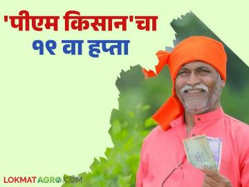 PM Kisan 19th Installment : किसान सन्मान निधी योजनेच्या १९ व्या हप्त्याची तारीख ठरली; कधी मिळणार हप्ता? - Marathi News | PM Kisan Hapta : Date of 19th installment of Kisan Samman Nidhi Yojana has been fixed; When will the installment be available? | Latest News at Lokmat.com