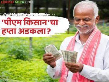 PM Kisan 22nd Installment : पीएम किसानचा हप्ता अडकला? काय आहेत कारणं जाणून घ्या सविस्तर - Marathi News | latest news PM Kisan 22nd Installment: PM Kisan installment stuck? What are the reasons? Know in detail | Latest News at Lokmat.com PM Kisan 22nd Installment : पीएम किसानचा हप्ता अडकला? काय आहेत कारणं जाणून घ्या सविस्तर - Marathi News | latest news PM Kisan 22nd Installment: PM Kisan installment stuck? What are the reasons? Know in detail | Latest News at Lokmat.com