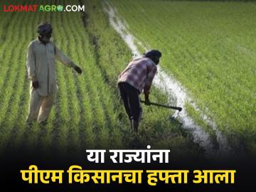 PM Kisan Hafta : 'या' तीन राज्यांना पीएम किसानचा हफ्ता जाहीर, मग महाराष्ट्राला दुजाभाव का? - Marathi News | :Latest News PM Kisan's 21 hafta announced for punjab, himachal pradesh, uttar pradesh why not maharashtra | Latest News at Lokmat.com PM Kisan Hafta : 'या' तीन राज्यांना पीएम किसानचा हफ्ता जाहीर, मग महाराष्ट्राला दुजाभाव का? - Marathi News | :Latest News PM Kisan's 21 hafta announced for punjab, himachal pradesh, uttar pradesh why not maharashtra | Latest News at Lokmat.com