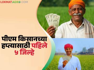 पीएम किसानच्या २२ व्या हप्त्यासाठी संशयित लाभार्थ्यांची तपासणी; कोणत्या लाभार्थ्यांना हप्ता मिळणार? - Marathi News | Checking of suspected beneficiaries for the 22nd installment of PM Kisan; Which beneficiaries will get the installment? | Latest News at Lokmat.com पीएम किसानच्या २२ व्या हप्त्यासाठी संशयित लाभार्थ्यांची तपासणी; कोणत्या लाभार्थ्यांना हप्ता मिळणार? - Marathi News | Checking of suspected beneficiaries for the 22nd installment of PM Kisan; Which beneficiaries will get the installment? | Latest News at Lokmat.com