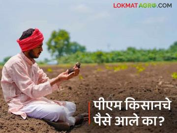 PM Kisan : तुमच्या खात्यात पीएम किसानचे पैसे आले आहेत की नाही, नवीन ट्रीकद्वारे चेक करा! - Marathi News | Check whether PM Kisan money has arrived in your account or not with this new trick! | Latest News at Lokmat.com PM Kisan : तुमच्या खात्यात पीएम किसानचे पैसे आले आहेत की नाही, नवीन ट्रीकद्वारे चेक करा! - Marathi News | Check whether PM Kisan money has arrived in your account or not with this new trick! | Latest News at Lokmat.com