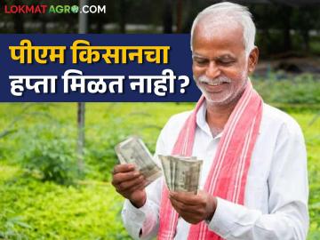 PM Kisan : पीएम किसान योजनेचे हप्ते मिळणे बंद झालेत? पुन्हा सुरु करण्यासाठी करा हे उपाय - Marathi News | PM Kisan : Have you stopped receiving installments of PM Kisan Yojana? Follow these steps to restart it | Latest News at Lokmat.com PM Kisan : पीएम किसान योजनेचे हप्ते मिळणे बंद झालेत? पुन्हा सुरु करण्यासाठी करा हे उपाय - Marathi News | PM Kisan : Have you stopped receiving installments of PM Kisan Yojana? Follow these steps to restart it | Latest News at Lokmat.com