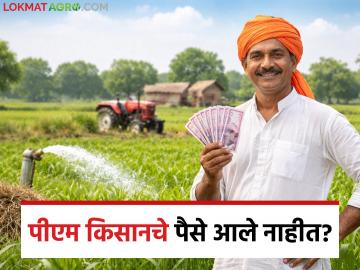 पीएम किसानचा हप्ता न मिळाल्यास काय कराल? कशी तपासाल लाभार्थी यादी? जाणून घ्या सविस्तर - Marathi News | What to do if you do not receive the PM Kisan installment? How to check the beneficiary list? Know in detail | Latest News at Lokmat.com