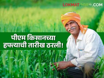 PM Kisan Yojana : 'या' तारखेला मिळणार पीएम किसानचा 18 वा हफ्ता, जाणून घ्या सविस्तर  - Marathi News | Latest News Agriculture News pm kisan yojana18th installment will release on 5th oct 2024 see details | Latest News at Lokmat.com