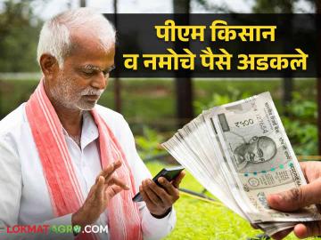 PM Kisan : शेतकऱ्यांनी मोबाइल बदलले अन् पीएम किसानचे पैसे अडकले वाचा सविस्तर - Marathi News | PM Kisan : Farmers changed their mobile phones and PM Kisan's money got stuck, read in detail | Latest News at Lokmat.com