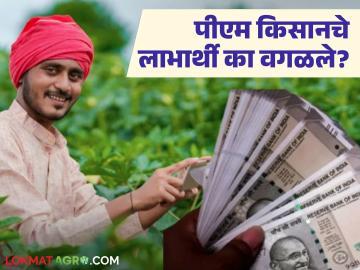 पीएम किसान योजेनेतून अडीच लाख शेतकऱ्यांना का वगळले? काय आहे कारण? जाणून घ्या सविस्तर पीएम किसान योजेनेतून अडीच लाख शेतकऱ्यांना का वगळले? काय आहे कारण? जाणून घ्या सविस्तर