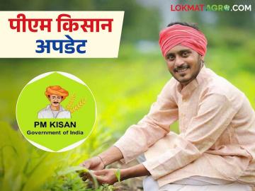 PM Kisan Update : पीएम किसान योजनेत अर्ज प्रक्रिया पूर्ण करा, मागील हफ्तेही मिळतील, वाचा सविस्तर  - Marathi News | Latest News PM Kisan Scheme Complete application status in PM Kisan Yojana and get installments | Latest News at Lokmat.com