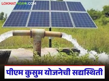PM Kusum Yojana : पीएम-कुसुम सौर पंप योजनेचे मॉडेल बदलणार, अनुदान, अर्जप्रक्रिया कशी राहणार?  - Marathi News | latest news PM-Kusum Solar Pump Scheme model to change, what will be the subsidy and application process | Latest News at Lokmat.com