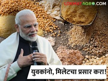 PM Modi : युवकांनो, मिलेटचा प्रसार करा! पीएम मोदी यांचे नाशिकमध्ये आवाहन  - Marathi News | Latest News PM Modi In Nashik Young people, spread the millet! PM Modi's appeal in Nashik | Latest News at Lokmat.com PM Modi : युवकांनो, मिलेटचा प्रसार करा! पीएम मोदी यांचे नाशिकमध्ये आवाहन  - Marathi News | Latest News PM Modi In Nashik Young people, spread the millet! PM Modi's appeal in Nashik | Latest News at Lokmat.com