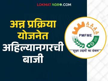 प्रधानमंत्री सूक्ष्म अन्न प्रक्रिया योजनेंतर्गत राज्यात या जिल्ह्याने सुरु केले सर्वात जास्त अन्न प्रक्रिया उद्योग - Marathi News | This district has started the highest number of food processing industries in the state under the Prime Minister's Micro Food Processing Scheme | Latest News at Lokmat.com