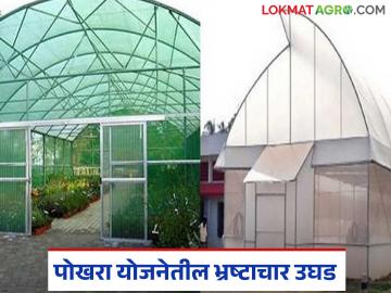 POCRA Scam : तपासणी झाली, आकडे उघडे पडले; 'पोखरा' घोटाळ्याचा भांडाफोड वाचा सविस्तर - Marathi News | latest news POCRA Scam: Investigation done, figures revealed; Read the 'Pokhara' scam exposed in detail | Latest News at Lokmat.com