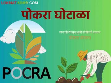 Pocra Scam : कृषी सहायकांवर कारवाई; उपविभागीय कृषी अधिकाऱ्यांना अभय असे का? वाचा सविस्तर  - Marathi News | Pocra Scam : on agricultural assistants government take action ; Why not taken action to Sub-Divisional Agriculture Officers? Read in detail  | Latest News at Lokmat.com