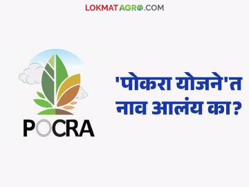POCRA Yojana :'पोकरा'त 'या' जिल्ह्यात ८६० शेतकऱ्यांची निवड; अनुदान वाटप सुरू वाचा सविस्तर - Marathi News | latest news POCRA Yojana: 860 farmers selected in 'POCRA' district; Grant distribution begins Read in detail | Latest News at Lokmat.com POCRA Yojana :'पोकरा'त 'या' जिल्ह्यात ८६० शेतकऱ्यांची निवड; अनुदान वाटप सुरू वाचा सविस्तर - Marathi News | latest news POCRA Yojana: 860 farmers selected in 'POCRA' district; Grant distribution begins Read in detail | Latest News at Lokmat.com