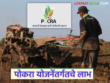 Pokara Scheme : नानाजी देशमुख पोकरा योजनेंतर्गत किती योजनांचा लाभ मिळतो, पहा संपूर्ण योजनांची यादी  - Marathi News | latest news How many schemes are available under Nanaji Deshmukh Pokra Scheme, see the complete list of schemes | Latest News at Lokmat.com