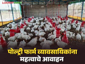 नाशिक जिल्ह्यातील पोल्ट्री फार्म व्यावसायिकांना जिल्हाधिकाऱ्यांचे महत्वाचे आवाहन, वाचा सविस्तर  - Marathi News | Latest News Important appeal of the District Collector to poultry farm professionals in Nashik district | Latest News at Lokmat.com