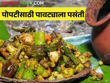 घाटमाथ्यावरील पावटा वाढवतोय पोपटीची चव; कशी केली जाते पोपटी? - Marathi News | lima beans is increasing the taste of the popati recipe, how to make popati recipe? | Latest News at Lokmat.com घाटमाथ्यावरील पावटा वाढवतोय पोपटीची चव; कशी केली जाते पोपटी? - Marathi News | lima beans is increasing the taste of the popati recipe, how to make popati recipe? | Latest News at Lokmat.com