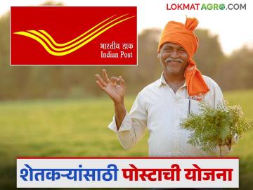 Post Office Scheme : पोस्ट ऑफिसच्या 'या' योजनेत गुंतवणूक करा, 115 महिन्यांत पैसे दुप्पट! - Marathi News | Latest news Post office scheme kisan vikas patra yojana safe investment good interest money double post office scheme update | Latest News at Lokmat.com Post Office Scheme : पोस्ट ऑफिसच्या 'या' योजनेत गुंतवणूक करा, 115 महिन्यांत पैसे दुप्पट! - Marathi News | Latest news Post office scheme kisan vikas patra yojana safe investment good interest money double post office scheme update | Latest News at Lokmat.com