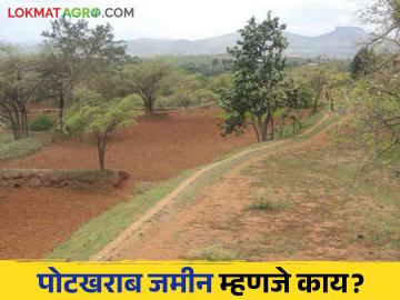 Potkharab Jamin : पोटखराब जमीन नोंद दुरुस्ती कशी करावी? वाचा सविस्तर - Marathi News | Potkharab Jamin : How to amend potkharab land record? Read in detail | Latest News at Lokmat.com Potkharab Jamin : पोटखराब जमीन नोंद दुरुस्ती कशी करावी? वाचा सविस्तर - Marathi News | Potkharab Jamin : How to amend potkharab land record? Read in detail | Latest News at Lokmat.com