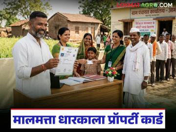 सरकारी जागेवर वास्तव्यास असलेल्या 'या' नागरिकांना अधिकृत मालकी मिळणार, मंत्री बावनकुळे काय म्हणाले?  - Marathi News | Latest News citizens residing on government land will get official ownership says Minister Bawankule | Latest farming-ideas News at Lokmat.com