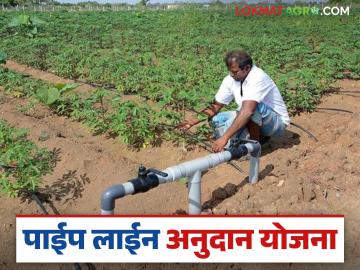 Pipe Line Yojana : पाईपलाईन योजनेचा मॅसेज आला का? सात दिवसांत 'हे' काम कराच, वाचा सविस्तर - Marathi News | Latest News Pipe Line Scheme Subsidy Upload documents if eligible under pipeline scheme read in detail | Latest News at Lokmat.com Pipe Line Yojana : पाईपलाईन योजनेचा मॅसेज आला का? सात दिवसांत 'हे' काम कराच, वाचा सविस्तर - Marathi News | Latest News Pipe Line Scheme Subsidy Upload documents if eligible under pipeline scheme read in detail | Latest News at Lokmat.com