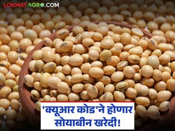 Soybean Kharedi : सोयाबीन खरेदीला गती; यंदा प्रत्येक पोत्यावर क्यूआर कोड, मर्यादाही वाढली - Marathi News | latest news Soybean Kharedi: Soybean purchase accelerates; This year, QR code on every bag, limit also increased | Latest News at Lokmat.com