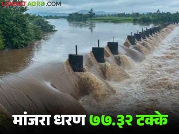 Manjara Dam Water Update : लातूरचे मांजरा धरण ७७.३२ टक्के भरले; शेती सिंचनासाठी मिळणार मुबलक पाणी - Marathi News | Manjara Dam Water Update : Latur's Manjara Dam 77.32 percent full; Abundant water will be available for agricultural irrigation | Latest News at Lokmat.com