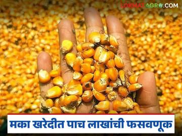 करंजाड शिवारात मका खरेदीत पाच लाख रुपयांची फसवणूक; दोन जणांविरुद्ध गुन्हा दाखल - Marathi News | Five lakh rupees fraud in maize purchase in Karanjad Shivara; Case registered against two people | Latest News at Lokmat.com