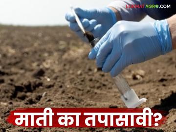 जमिनीच्या गुणधर्मांची माहिती जाणून घेण्यासाठी शेतातील माती का अन् कशी तपासावी? वाचा काय सांगताहेत तज्ञ - Marathi News | Why and how to test the soil in the field to know the properties of the soil? Read what experts say | Latest News at Lokmat.com