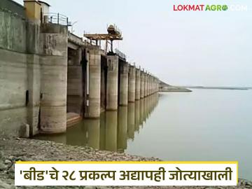 'बीड'ला तारणारा पाऊस कधी? पावसाळ्याचे ७१ दिवस संपले तरीही २८ प्रकल्प जोत्याखाली - Marathi News | When will the rain save Beed? Even after 71 days of monsoon, 28 projects are still under construction | Latest News at Lokmat.com 'बीड'ला तारणारा पाऊस कधी? पावसाळ्याचे ७१ दिवस संपले तरीही २८ प्रकल्प जोत्याखाली - Marathi News | When will the rain save Beed? Even after 71 days of monsoon, 28 projects are still under construction | Latest News at Lokmat.com