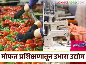 Food Processing Taining : स्वतःचा उद्योग उभारायचा आहे का? 'येथे' मिळतंय मोफत फूड प्रोसेसिंगचे प्रशिक्षण - Marathi News | Food Processing Training: Want to start your own business? Free food processing training is available here | Latest News at Lokmat.com