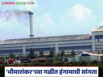 ९ लाख २७ हजार १९७ साखर पोत्यांचे उत्पादन करत 'भीमाशंकर'च्या गळीत हंगामाची यशस्वी सांगता - Marathi News | 'Bhimashankar' successfully concludes the crushing season by producing 9 lakh 27 thousand 197 bags of sugar | Latest News at Lokmat.com
