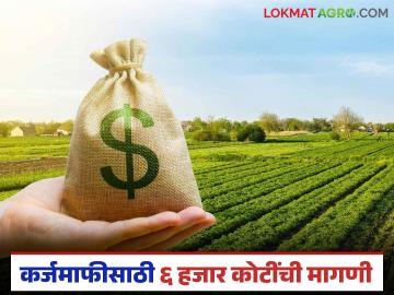 शेतकरी कर्जमाफीसाठी ६ हजार कोटींची मागणी; सहकार मंत्री बाबासाहेब पाटील यांची माहिती - Marathi News | Demand for Rs 6,000 crore for farmer loan waiver; Information from Cooperation Minister Babasaheb Patil | Latest News at Lokmat.com
