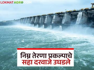 निम्न तेरणा प्रकल्पाचे सहा दरवाजे उघडले; नदीकाठच्या गावांना सतर्कतेचा इशारा - Marathi News | Six gates of Lower Terna project opened; Alert issued to villages along the river | Latest News at Lokmat.com