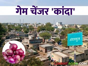 कांद्याच्या शेतीने विकासाला मिळाली उभारी; राज्यातील 'हे' गाव आज देतंय तालुक्याला टक्कर भारी - Marathi News | Onion farming has given a boost to development; 'This' village in the state is today giving a tough competition to the taluka | Latest News at Lokmat.com