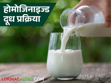 दीर्घकाळ ताजे आणि चवदार असणारे होमोजिनाइज्ड दूध कसे तयार होते? जाणून घ्या सविस्तर - Marathi News | How is homogenized milk produced that stays fresh and tasty for a long time? Learn in detail | Latest News at Lokmat.com