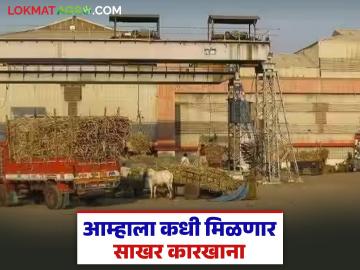 उसाचे क्षेत्र वाढले मात्र साखर कारखानाच नाही! 'कंधार'च्या शेतकऱ्यांची कारखान्यासाठी वणवण - Marathi News | Sugarcane area increased but no sugar factory! Farmers of 'Kandahar' demand for factory | Latest News at Lokmat.com उसाचे क्षेत्र वाढले मात्र साखर कारखानाच नाही! 'कंधार'च्या शेतकऱ्यांची कारखान्यासाठी वणवण - Marathi News | Sugarcane area increased but no sugar factory! Farmers of 'Kandahar' demand for factory | Latest News at Lokmat.com