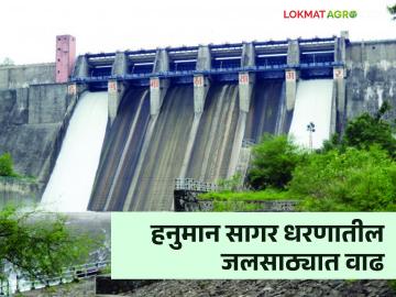 Hanuman Sagar Dam : हनुमान सागर धरणातील जलसाठ्यात १७ टक्क्यांनी वाढ! - Marathi News | Hanuman Sagar Dam: 17 percent increase in water storage in Hanuman Sagar Dam! | Latest News at Lokmat.com