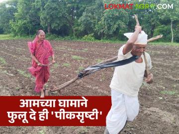 मुक्ताबाईची सोबत, विठूची कृपादृष्टी; आमच्या घामाने फुलू दे रे पांडुरंगा ही 'पीकसृष्टी' - Marathi News | Muktabai's companionship, Vithu's grace; Let Panduranga, the 'crop', bloom with our sweat | Latest News at Lokmat.com मुक्ताबाईची सोबत, विठूची कृपादृष्टी; आमच्या घामाने फुलू दे रे पांडुरंगा ही 'पीकसृष्टी' - Marathi News | Muktabai's companionship, Vithu's grace; Let Panduranga, the 'crop', bloom with our sweat | Latest News at Lokmat.com