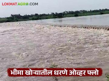 भीमा खोऱ्यातील धरणे ओव्हर फ्लो; उजनी धरणाचे १६ दरवाजे उघडून १५ हजार क्युसेक विसर्ग भीमा नदी पात्रात सुरू - Marathi News | Dams in Bhima Valley overflow; 16 gates of Ujani Dam opened, releasing 15 thousand cusecs into Bhima river basin | Latest News at Lokmat.com