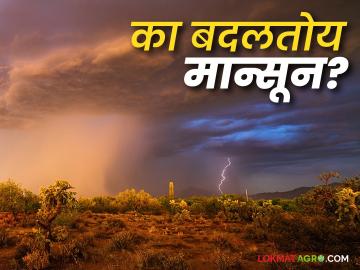 'या' कारणामुळे बदलतोय महाराष्ट्राचा मान्सून; वाचा डिसेंबरपर्यंत कसा असणार पाऊस - Marathi News | Maharashtra's monsoon is changing due to 'this' reason; Read how the rain will be till December | Latest News at Lokmat.com