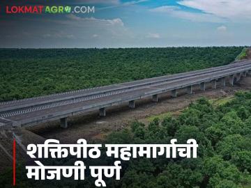 'शक्तिपीठ'ची मोजणी पूर्ण! भूसंपादनाला होणार सुरुवात; महामार्गाची लांबी ८४० किलोमीटरपर्यंत वाढली - Marathi News | Complete land acquisition for 'Shaktipith' to begin; Highway length increased to 840 kilometers | Latest News at Lokmat.com
