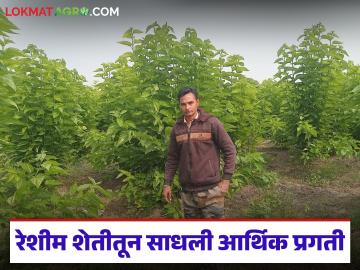 रेशीम शेतीतून घोराडच्या विवेकरावांनी साधली आर्थिक प्रगती; जिद्द आणि मेहनतीच्या जोरावर लाखोंचे उत्पन्न - Marathi News | Vivekrao of Ghorad achieved economic progress through sericulture; Earned lakhs in income through determination and hard work | Latest success-story News at Lokmat.com